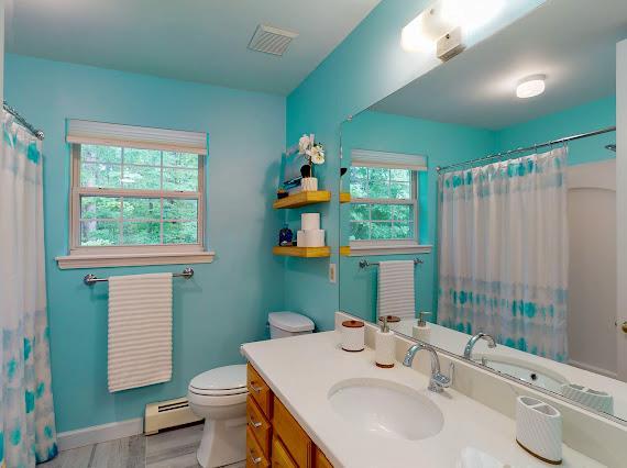 293 S Centerville Rd, Middletown, NY 10940 - bathroom featuring a baseboard radiator, toilet, wood finished floors, vanity, and curtained shower