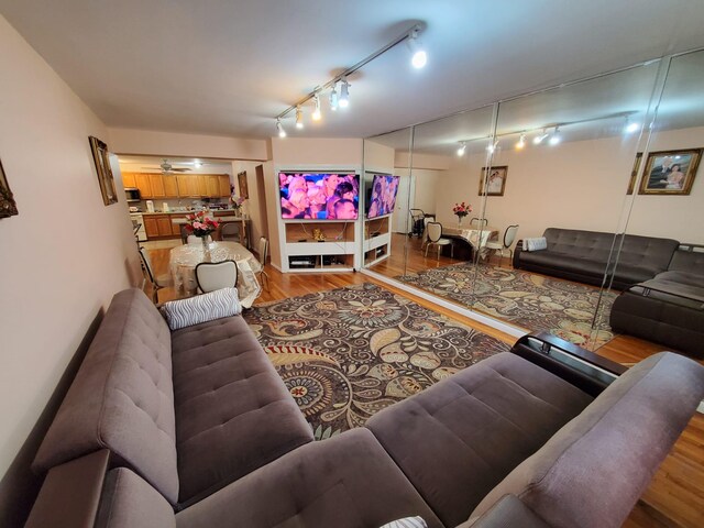living area featuring light wood-type flooring and rail lighting