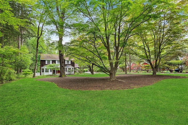 view of green lawn