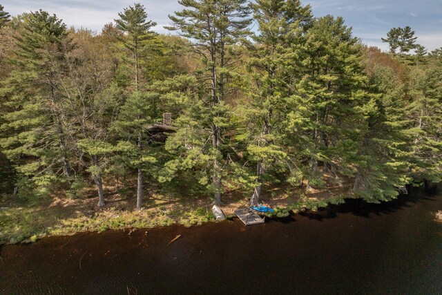 62 Stag Forest Rd, Forestburgh, NY 12777 - view of tree filled area with a water view