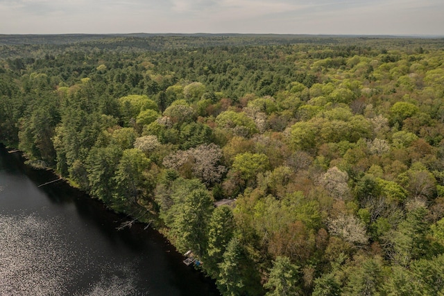 62 Stag Forest Rd, Forestburgh, NY 12777 - view of property location with a heavily wooded area and a large body of water