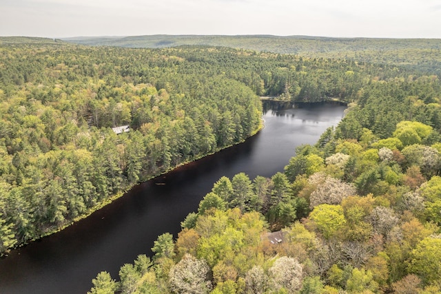 62 Stag Forest Rd, Forestburgh, NY 12777 - view of property location featuring a heavily wooded area and a nearby body of water