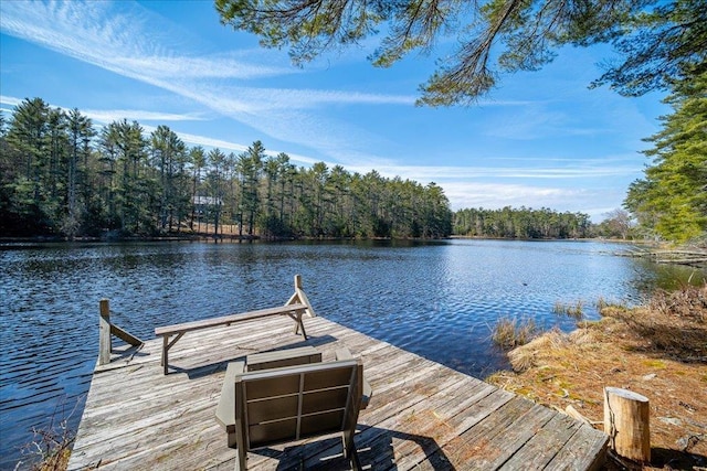 62 Stag Forest Rd, Forestburgh, NY 12777 - dock with a water view and a view of trees