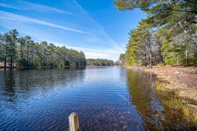 62 Stag Forest Rd, Forestburgh, NY 12777 - water view featuring a heavily wooded area