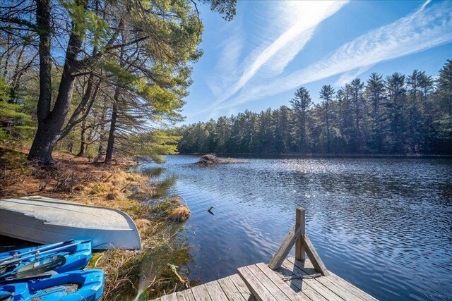 62 Stag Forest Rd, Forestburgh, NY 12777 - dock area with a water view and a view of trees