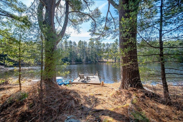 62 Stag Forest Rd, Forestburgh, NY 12777 - dock area with a water view and a forest view