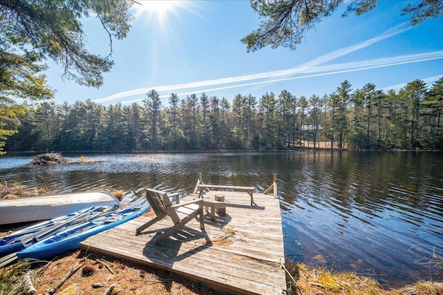 62 Stag Forest Rd, Forestburgh, NY 12777 - dock featuring a water view and a wooded view