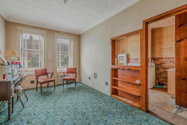 62-12 60th Dr, Maspeth, NY 11378 - living area featuring carpet floors