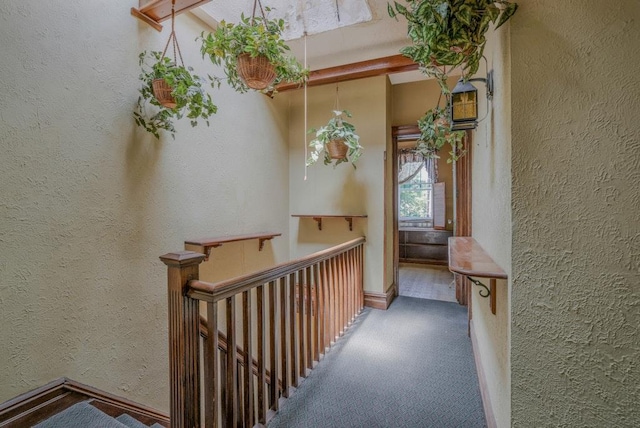 62-12 60th Dr, Maspeth, NY 11378 - hallway featuring an upstairs landing, a textured wall, baseboards, and carpet flooring