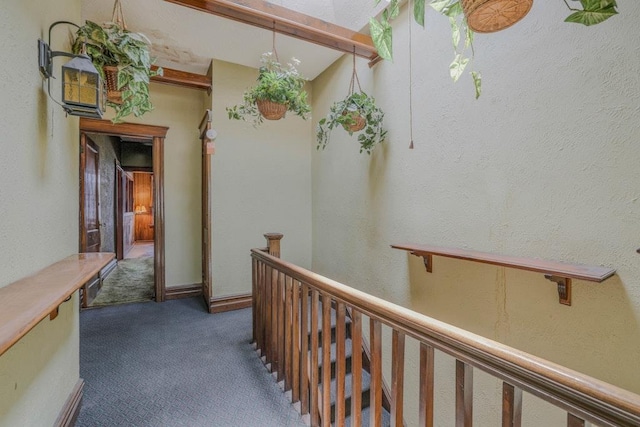 62-12 60th Dr, Maspeth, NY 11378 - hall featuring carpet floors, an upstairs landing, and a textured wall