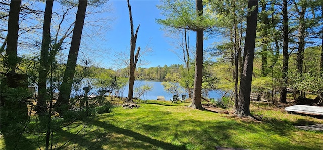 198 Eldred Yulan Rd, Call Listing Agent, NY 12732 - water view