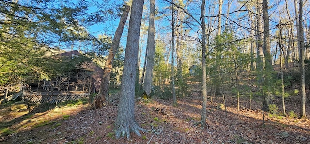198 Eldred Yulan Rd, Call Listing Agent, NY 12732 - view of yard featuring a deck