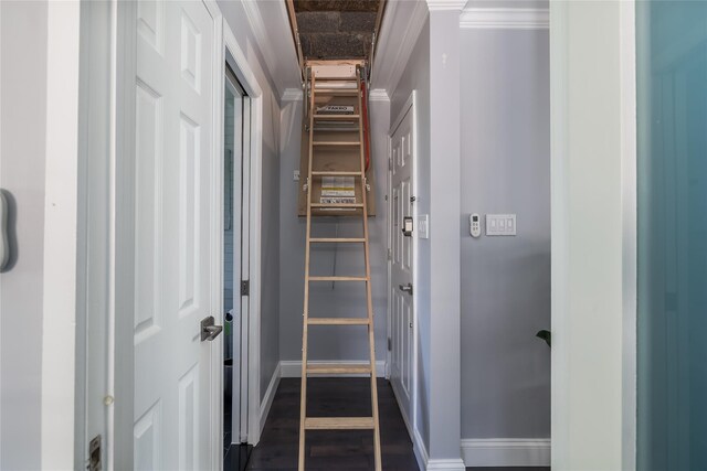 corridor featuring baseboards and ornamental molding