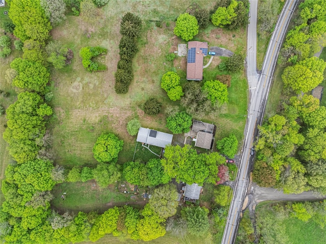 5105-5103 Rte 82, Salt Point, NY 12578 - aerial view