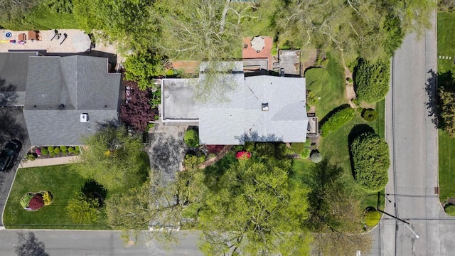 drone / aerial view