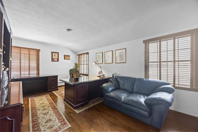 office space featuring dark wood-style floors, healthy amount of natural light, and vaulted ceiling