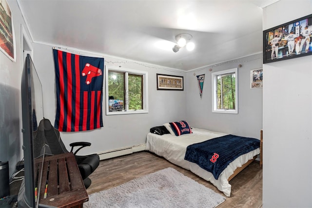 45 Proctor Rd, Eldred, NY 12732 - bedroom with wood finished floors, a baseboard radiator, and ornamental molding