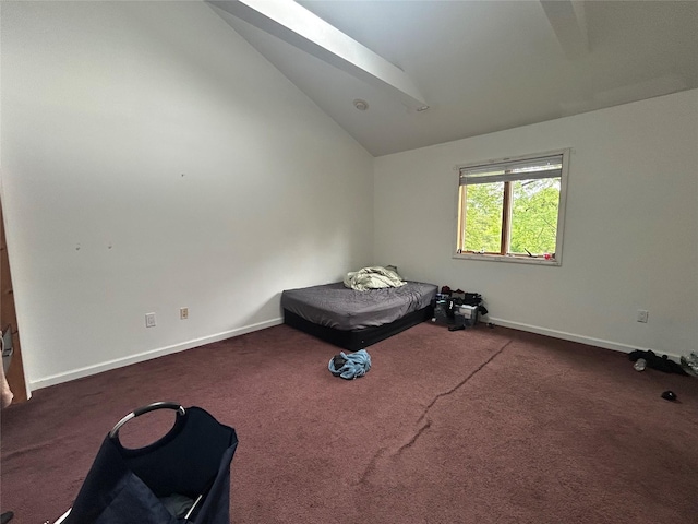 1433 Rte 208, Washingtonville, NY 10992 - unfurnished bedroom featuring lofted ceiling, carpet, a skylight, and baseboards