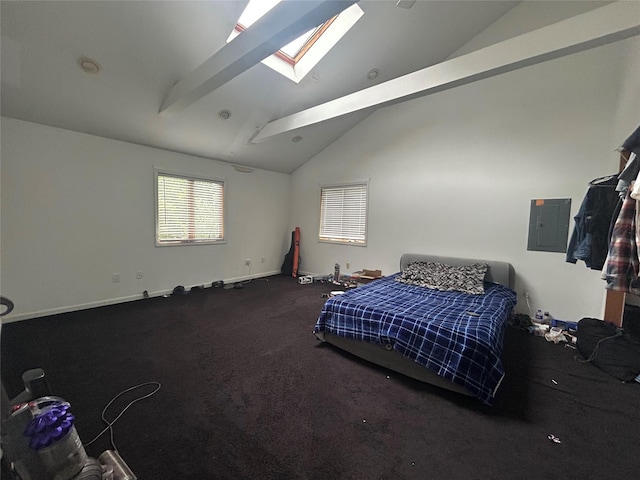 1433 Rte 208, Washingtonville, NY 10992 - bedroom featuring a skylight, vaulted ceiling, electric panel, and baseboards