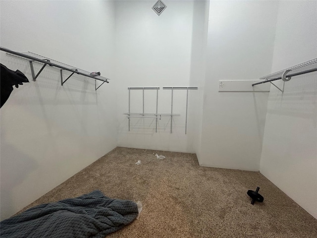 1433 Rte 208, Washingtonville, NY 10992 - spacious closet with carpet floors