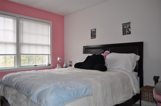 53 Leo Ln, Poughquag, NY 12570 - photo 27