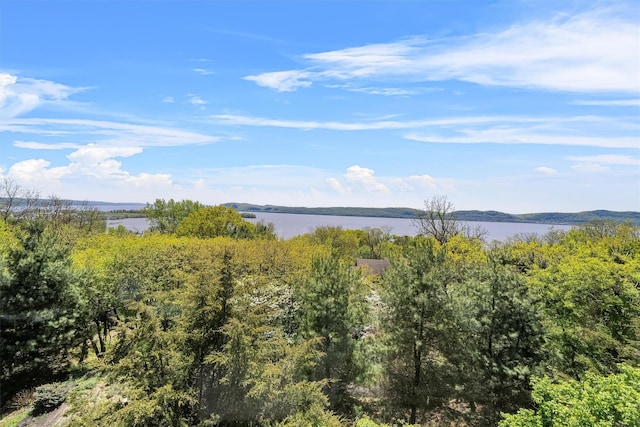 26 Mount Green Rd, Croton-On-Hudson, NY 10520 - water view