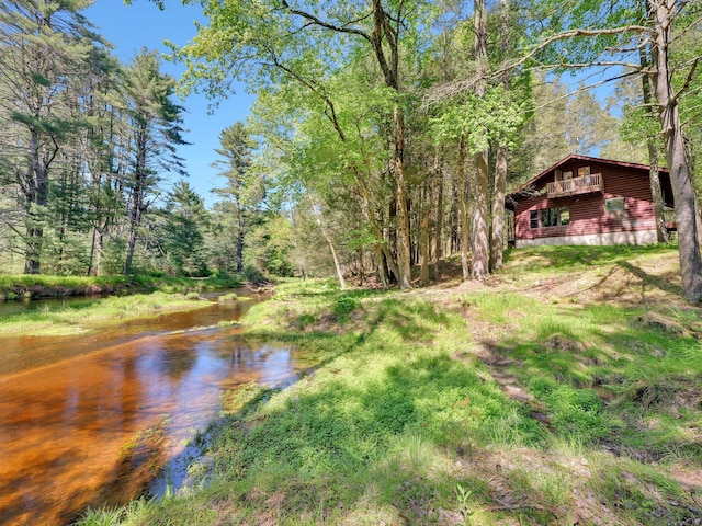 60 Park Road Ext, Eldred, NY 12792 - view of yard