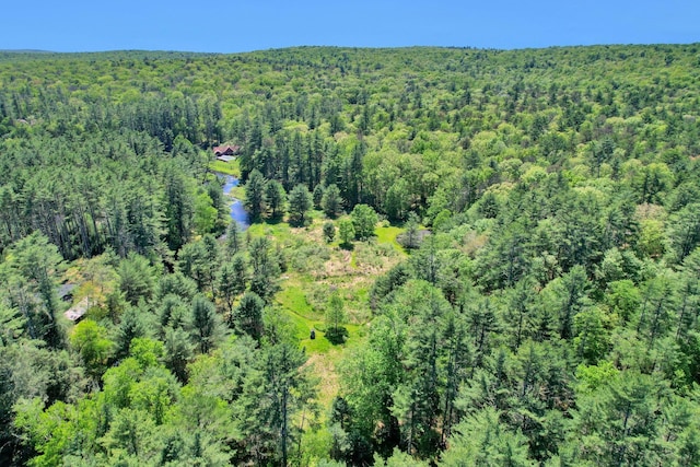 60 Park Road Ext, Eldred, NY 12792 - view of property location with a heavily wooded area and a nearby body of water