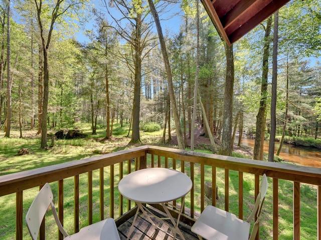 60 Park Road Ext, Eldred, NY 12792 - deck with a lawn
