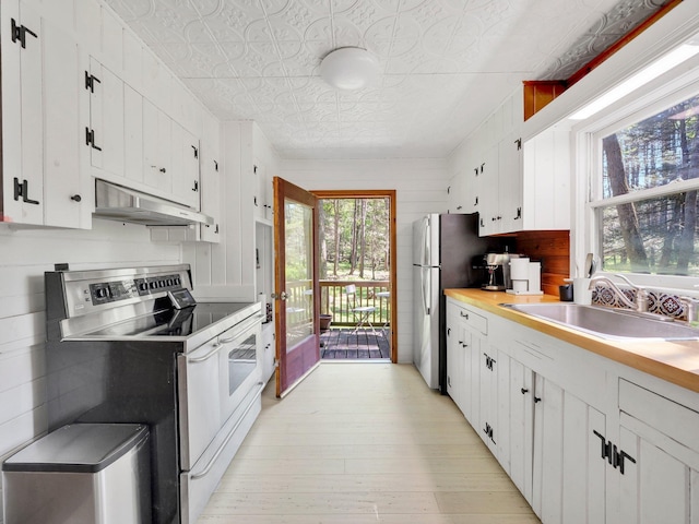 60 Park Road Ext, Eldred, NY 12792 - kitchen with stainless steel range with electric stovetop, under cabinet range hood, a sink, white cabinets, and an ornate ceiling