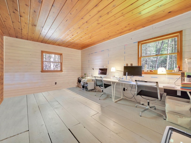60 Park Road Ext, Eldred, NY 12792 - home office featuring wooden walls, wood ceiling, and wood finished floors