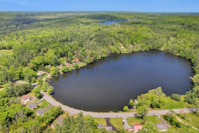229 Eldred Yulan Rd, Eldred, NY 12792 - aerial view of property's location featuring a forest and a large body of water