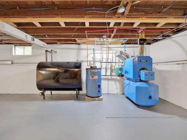 229 Eldred Yulan Rd, Eldred, NY 12792 - basement with water heater and heating fuel