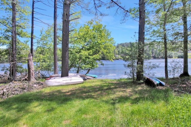 229 Eldred Yulan Rd, Eldred, NY 12792 - view of yard with a water view