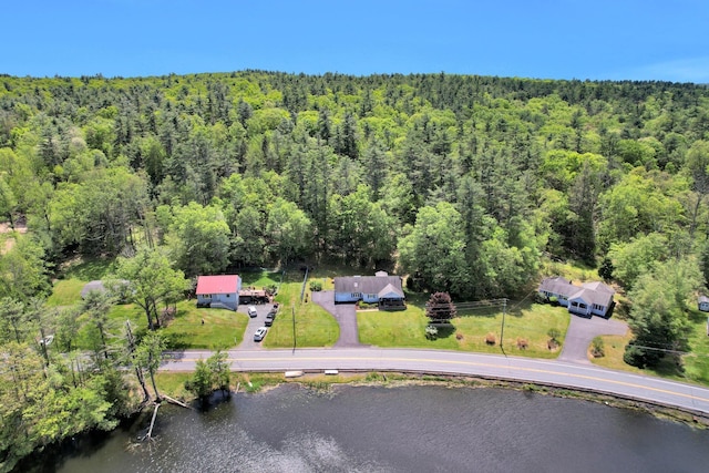 229 Eldred Yulan Rd, Eldred, NY 12792 - bird's eye view of a heavily wooded area and a nearby body of water