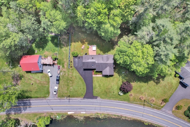 229 Eldred Yulan Rd, Eldred, NY 12792 - aerial view