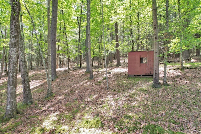 229 Eldred Yulan Rd, Eldred, NY 12792 - view of yard featuring a view of trees