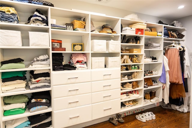 walk in closet featuring dark wood-style floors