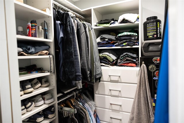 view of spacious closet