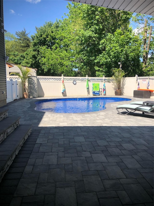 view of pool with a patio and a fenced backyard
