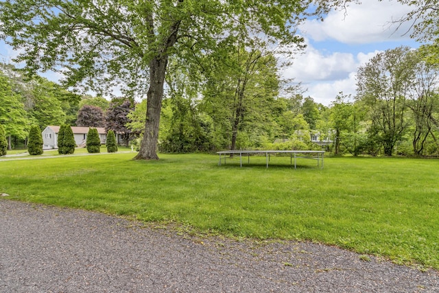 122 Minor Rd, Brewster, NY 10509 - view of grassy yard featuring a trampoline