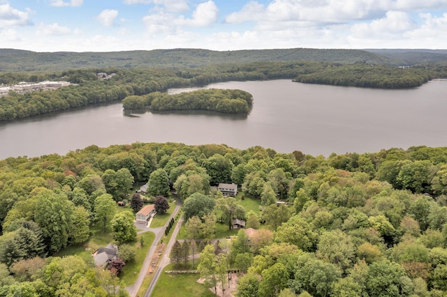 122 Minor Rd, Brewster, NY 10509 - aerial view of a forest and a nearby body of water