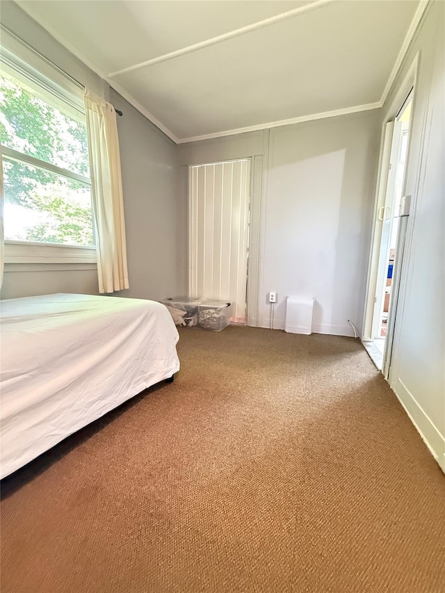 37 New Ave, Yonkers, NY 10704 - unfurnished bedroom with carpet floors and ornamental molding