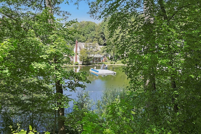 7 Southminster Dr, White Plains, NY 10604 - water view featuring a forest