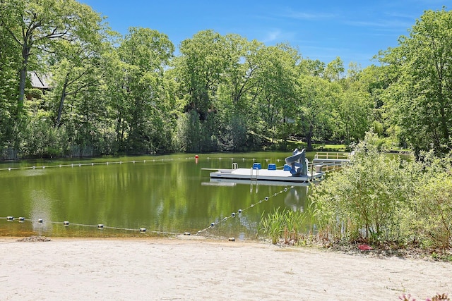 7 Southminster Dr, White Plains, NY 10604 - dock with a water view and a view of trees