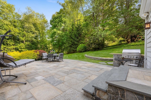 56 Annandale Rd, Chappaqua, NY 10514 - photo 42