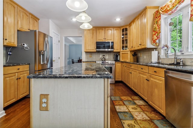 kitchen with appliances with stainless steel finishes, a sink, dark wood finished floors, and glass insert cabinets