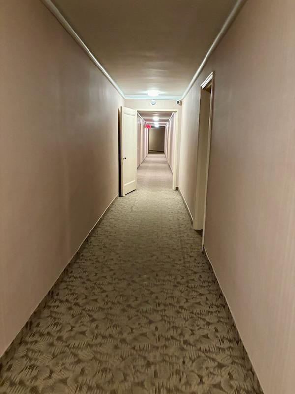 corridor featuring carpet floors and ornamental molding