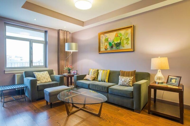 living area with wood finished floors and a raised ceiling
