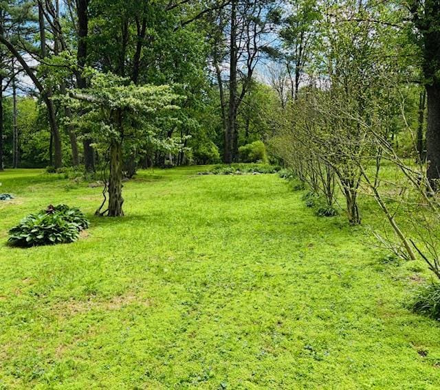 1358 Rte 44, Pleasant Valley, NY 12569 - view of yard